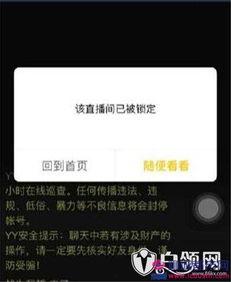 居哥最新爆料消息视频播放,最新爆料视频内容大起底