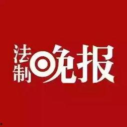 当天的爆料新闻哪里找,[具体爆料新闻主题]背后的真相与影响