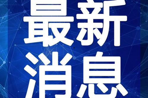 定兴理发店爆料视频最新,揭秘行业潜规则与顾客权益