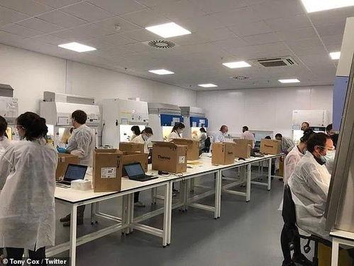 英国实验室爆料视频大全,独家爆料视频大全深度解析