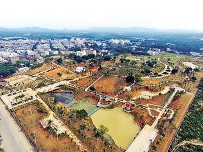 海南儋州爆料新闻最新,事件详情引关注 第3张 海南儋州爆料新闻最新,事件详情引关注 第3张