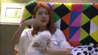 吾儿可教在线观看,揭秘育儿智慧与成长之路  第3张