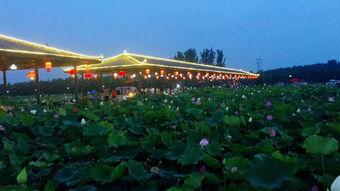 互动桌面最新爆料下载,揭秘未来智能交互新趋势  第1张